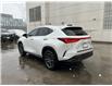 2025 Lexus NX 250 Base (Stk: M14909A) in Toronto - Image 6 of 24