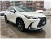 2025 Lexus NX 250 Base (Stk: M14909A) in Toronto - Image 9 of 24