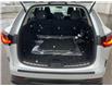 2025 Lexus NX 250 Base (Stk: M14909A) in Toronto - Image 21 of 24