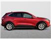 2020 Ford Escape SE (Stk: 254317C) in Fredericton - Image 6 of 18