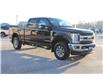 2019 Ford F-250 XLT (Stk: LT243A) in Harrow - Image 3 of 12