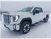 2025 GMC Sierra 2500HD Denali (Stk: 25948) in Haliburton - Image 3 of 19