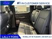 2025 Ford F-150 Lariat (Stk: LFFF01509) in Tilbury - Image 15 of 15