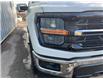 2025 Ford F-150 XLT (Stk: 0T5716) in Kamloops - Image 8 of 25