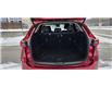 2023 Mazda CX-5 GS (Stk: 31804AM) in Ottawa - Image 8 of 25