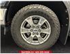 2019 Ford F-150  (Stk: 302247) in Lethbridge - Image 14 of 15