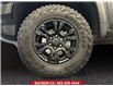 2025 Chevrolet Silverado 1500 ZR2 (Stk: 301439) in Lethbridge - Image 14 of 15