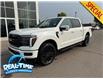 2025 Ford F-150 Lariat (Stk: 25299) in High River - Image 1 of 9