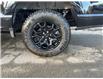 2025 Ford F-150 XLT (Stk: 0T5719) in Kamloops - Image 6 of 25