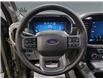 2025 Ford F-150 Lariat (Stk: S9895) in ROSETOWN - Image 14 of 17