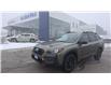 2024 Subaru Outback Wilderness (Stk: LP1283) in RICHMOND HILL - Image 1 of 37