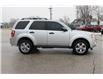 2012 Ford Escape XLT (Stk: BR2547A) in Harrow - Image 4 of 12