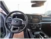 2025 Ford F-150 Tremor (Stk: S62211) in Hague - Image 9 of 13
