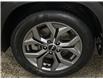 2025 Kia Seltos EX (Stk: 43394J) in Belleville - Image 26 of 26
