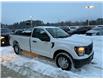 2023 Ford F-150 XL (Stk: 24720) in Pembroke - Image 8 of 21
