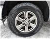 2020 Ford F-150 XLT (Stk: 16031A) in Newmarket - Image 49 of 50