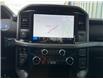 2025 Ford F-150 XLT (Stk: 0T5710) in Kamloops - Image 19 of 25