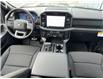 2025 Ford F-150 XLT (Stk: 0T5710) in Kamloops - Image 24 of 25