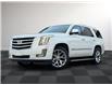 2020 Cadillac Escalade Premium Luxury (Stk: TL98832) in Windsor - Image 1 of 28