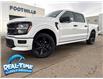 2025 Ford F-150 STX (Stk: 25376) in High River - Image 1 of 29