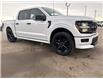 2025 Ford F-150 STX (Stk: 25376) in High River - Image 9 of 29