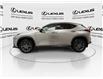 2023 Lexus NX 350h  (Stk: 14111830A) in Markham - Image 6 of 29