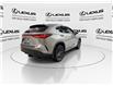 2023 Lexus NX 350h  (Stk: 14111830A) in Markham - Image 9 of 29