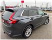 2024 Honda CR-V EX-L (Stk: 19094) in Sarnia - Image 3 of 8