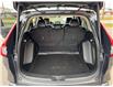 2024 Honda CR-V EX-L (Stk: 19094) in Sarnia - Image 7 of 8