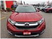 2018 Honda CR-V Touring (Stk: 19084) in Sarnia - Image 4 of 9