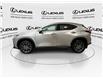 2024 Lexus NX 350h Base (Stk: 14111633A) in Markham - Image 6 of 28