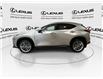 2022 Lexus NX 350h  (Stk: 14111745A) in Markham - Image 6 of 29