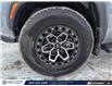 2024 Nissan Frontier PRO-4X (Stk: SS-382B) in Calgary - Image 6 of 17 2024 Nissan Frontier PRO-4X (Stk: SS-382B) in Calgary - Image 6 of 17