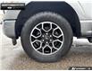 2023 Ford F-150 XLT (Stk: 5F45048A) in Brantford - Image 6 of 20