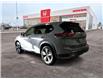 2024 Nissan Rogue SL (Stk: C1646) in Lethbridge - Image 5 of 24