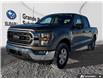 2023 Ford F-150 XLT (Stk: PS2078) in Grande Prairie - Image 1 of 25