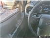 2023 Ford F-150 XLT (Stk: PS2078) in Grande Prairie - Image 17 of 25