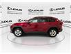 2020 Toyota RAV4  (Stk: 14U7175) in Markham - Image 6 of 30