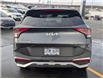 2024 Kia Sportage LX (Stk: M251159) in St. John's - Image 5 of 19