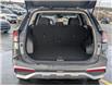 2024 Kia Sportage LX (Stk: M251159) in St. John's - Image 7 of 19
