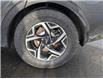 2024 Kia Sportage LX (Stk: M251159) in St. John's - Image 8 of 19