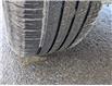 2024 Kia Sportage LX (Stk: M251159) in St. John's - Image 9 of 19