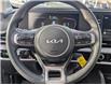 2024 Kia Sportage LX (Stk: M251159) in St. John's - Image 18 of 19