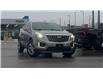 2022 Cadillac XT5 Premium Luxury (Stk: 173791) in London - Image 7 of 12