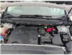 2017 Ford Edge Titanium (Stk: 24305A) in Miramichi - Image 14 of 14