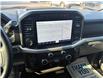 2022 Ford F-150 XLT (Stk: 5F241A) in Oakville - Image 24 of 28