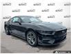 2025 Ford Mustang EcoBoost (Stk: 5G010) in Oakville - Image 1 of 23