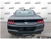 2025 Ford Mustang EcoBoost (Stk: 5G010) in Oakville - Image 5 of 23