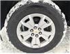 2022 Chevrolet Colorado LT (Stk: UT05512) in Haliburton - Image 10 of 20