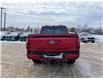 2025 Ford F-150 XLT (Stk: F1382) in Miramichi - Image 4 of 13